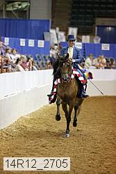 14r12_2705 thumbnail