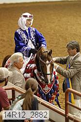 14r12_2882 thumbnail