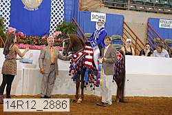 14r12_2886 thumbnail