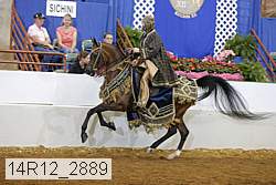14r12_2889 thumbnail
