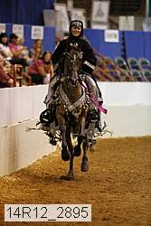 14r12_2895 thumbnail