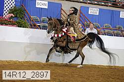 14r12_2897 thumbnail