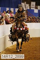 14r12_2899 thumbnail