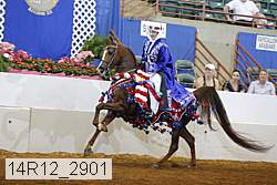 14r12_2901 thumbnail