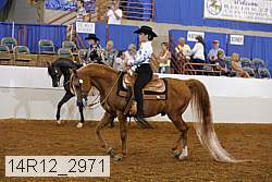 14r12_2971 thumbnail