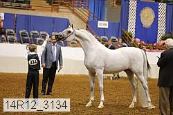 14r12_3134 thumbnail