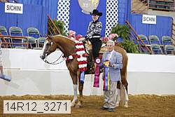 14r12_3271 thumbnail