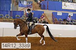 14r12_3389 thumbnail