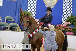14r12_3496 thumbnail