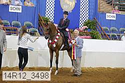 14r12_3498 thumbnail