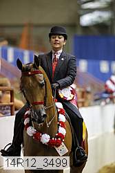 14r12_3499 thumbnail