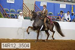 14r12_3504 thumbnail