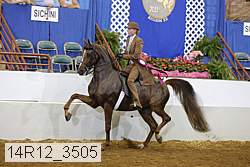 14r12_3505 thumbnail