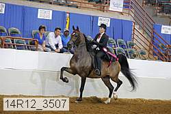 14r12_3507 thumbnail