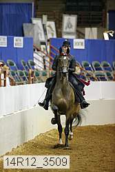 14r12_3509 thumbnail