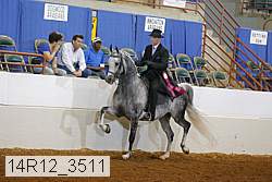 14r12_3511 thumbnail