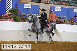 14r12_3513 thumbnail