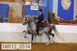 14r12_3514 thumbnail