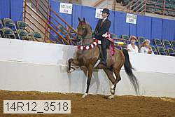 14r12_3518 thumbnail