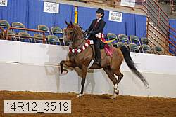 14r12_3519 thumbnail