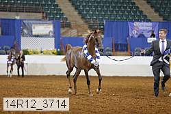 14r12_3714 thumbnail