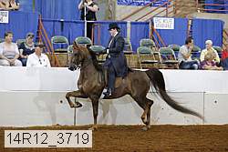 14r12_3719 thumbnail