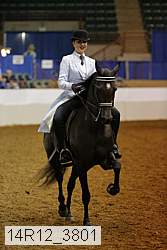 14r12_3801 thumbnail
