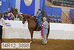 14r12_3898 thumbnail
