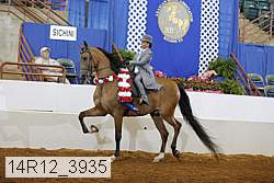 14r12_3935 thumbnail
