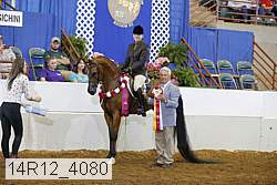 14r12_4080 thumbnail