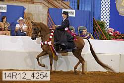 14r12_4254 thumbnail