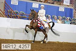14r12_4257 thumbnail