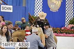14r12_4338 thumbnail