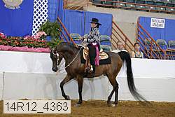 14r12_4363 thumbnail