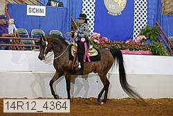 14r12_4364 thumbnail