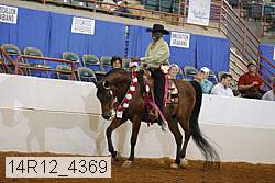 14r12_4369 thumbnail