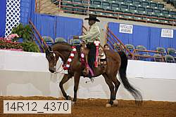 14r12_4370 thumbnail