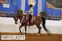 14r12_4371 thumbnail