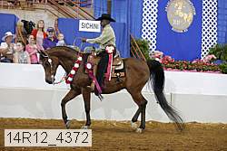 14r12_4372 thumbnail
