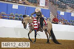 14r12_4379 thumbnail