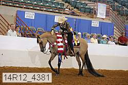 14r12_4381 thumbnail