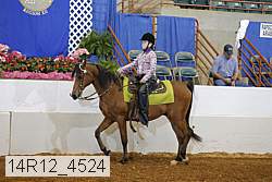 14r12_4524 thumbnail