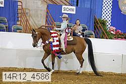 14r12_4586 thumbnail