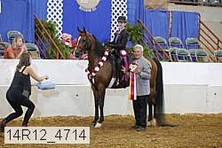 14r12_4714 thumbnail