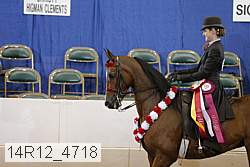 14r12_4718 thumbnail