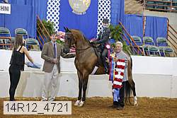 14r12_4721 thumbnail