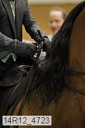 14r12_4723 thumbnail