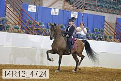 14r12_4724 thumbnail