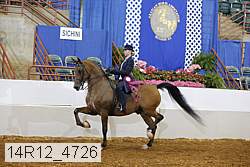 14r12_4726 thumbnail