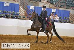 14r12_4728 thumbnail